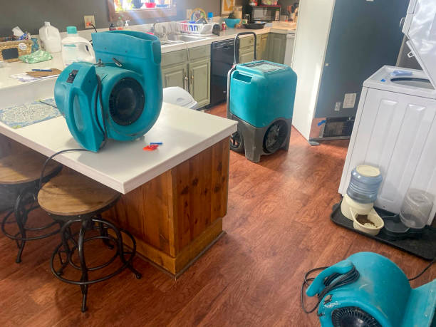 Best Water damage cleanup near me  in Web, AL