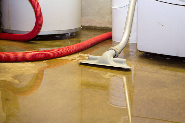 Best Water damage restoration near me  in Web, AL